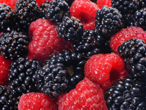 SPANISH-BERRIES