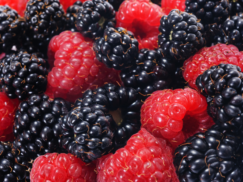SPANISH-BERRIES