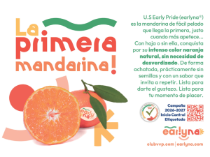 EARLYNA-MANDARINA
