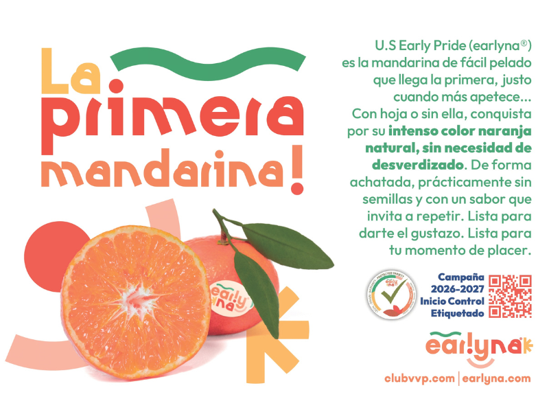 EARLYNA-MANDARINA