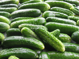PEPINO-ALMERÍA
