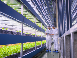 AGROALIMENTACIÓN