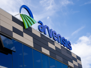 ARVENSIS