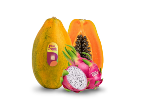 EL-CIRUELO