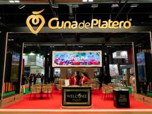 CUNA-DE-PLATERO