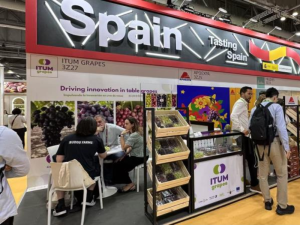 ASIA-FRUIT-LOGISTICA-ESPAÑA