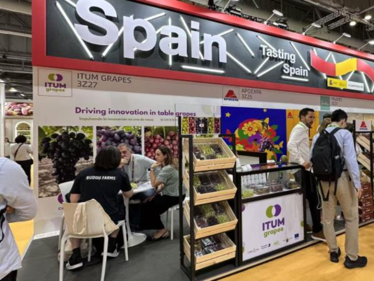 ASIA-FRUIT-LOGISTICA-ESPAÑA