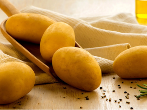 EUROPLANT-LARISSA-SEED-POTATOES