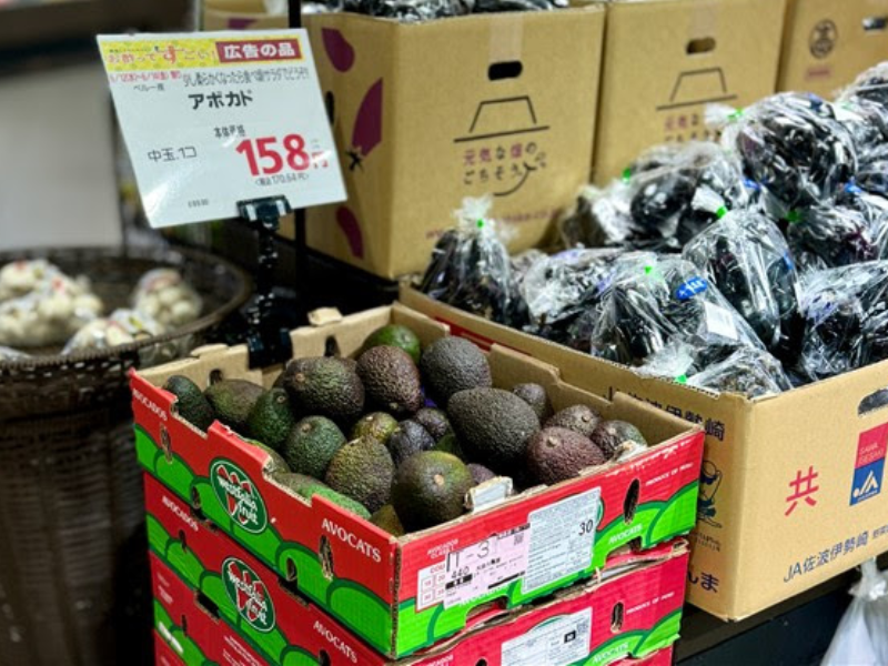 WESTFALIA-FRUIT-AVOCADO