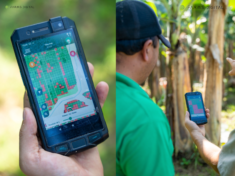 FARMS-DIGITAL-BANANO-INTELIGENCIA-ARTIFICIAL