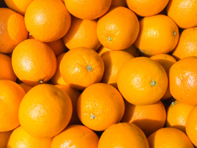 BRAZIL-ORANGES