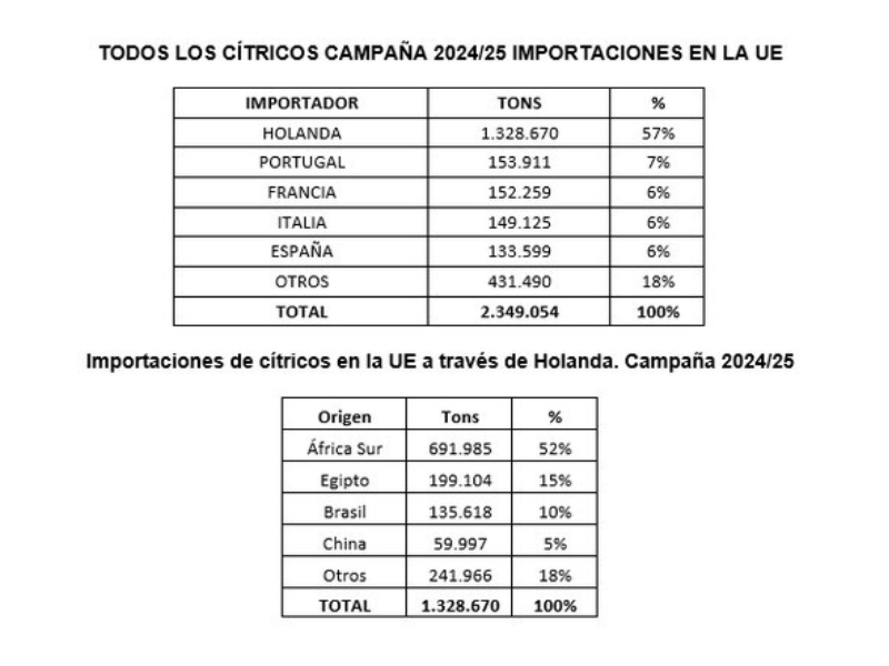LIMON-HOLANDA