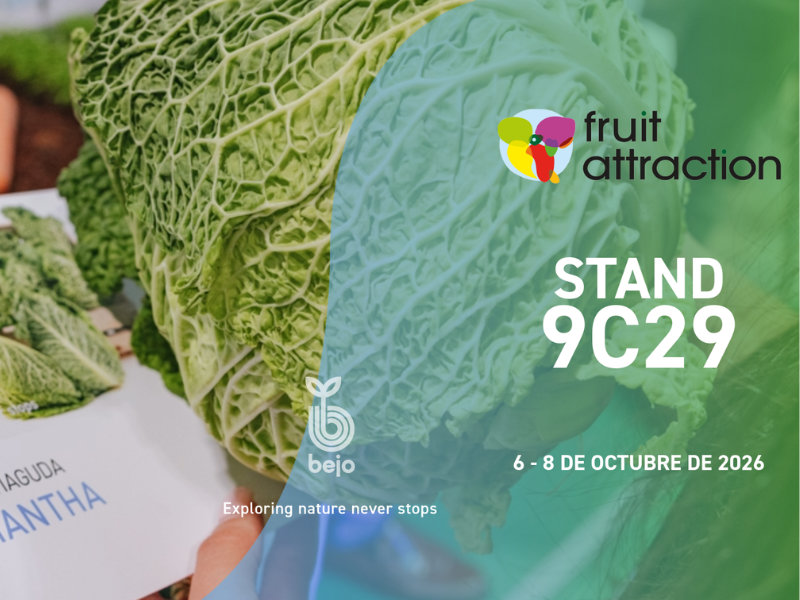 BEJO-FRUIT-ATTRACTION