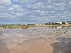 lluvias-valencia-temporal