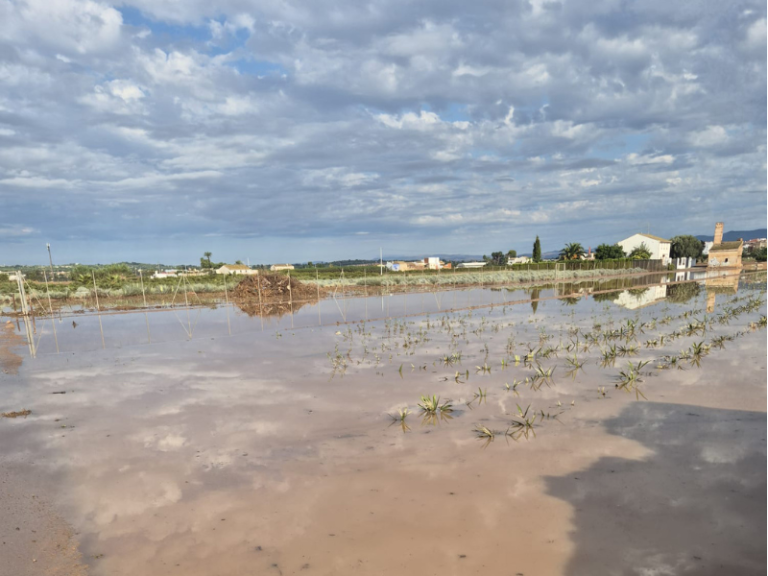 lluvias-valencia-temporal