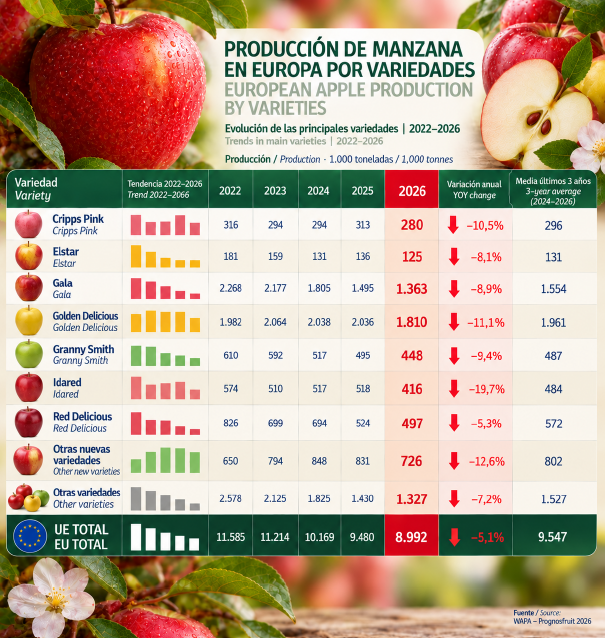 MANZANA
