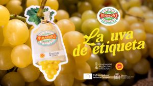 Uva-del-Vinalopó