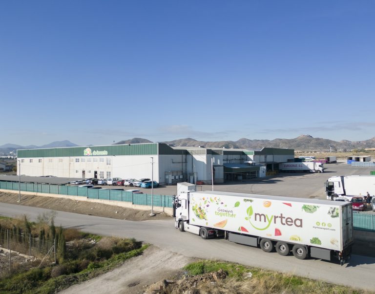 Myrtea-export