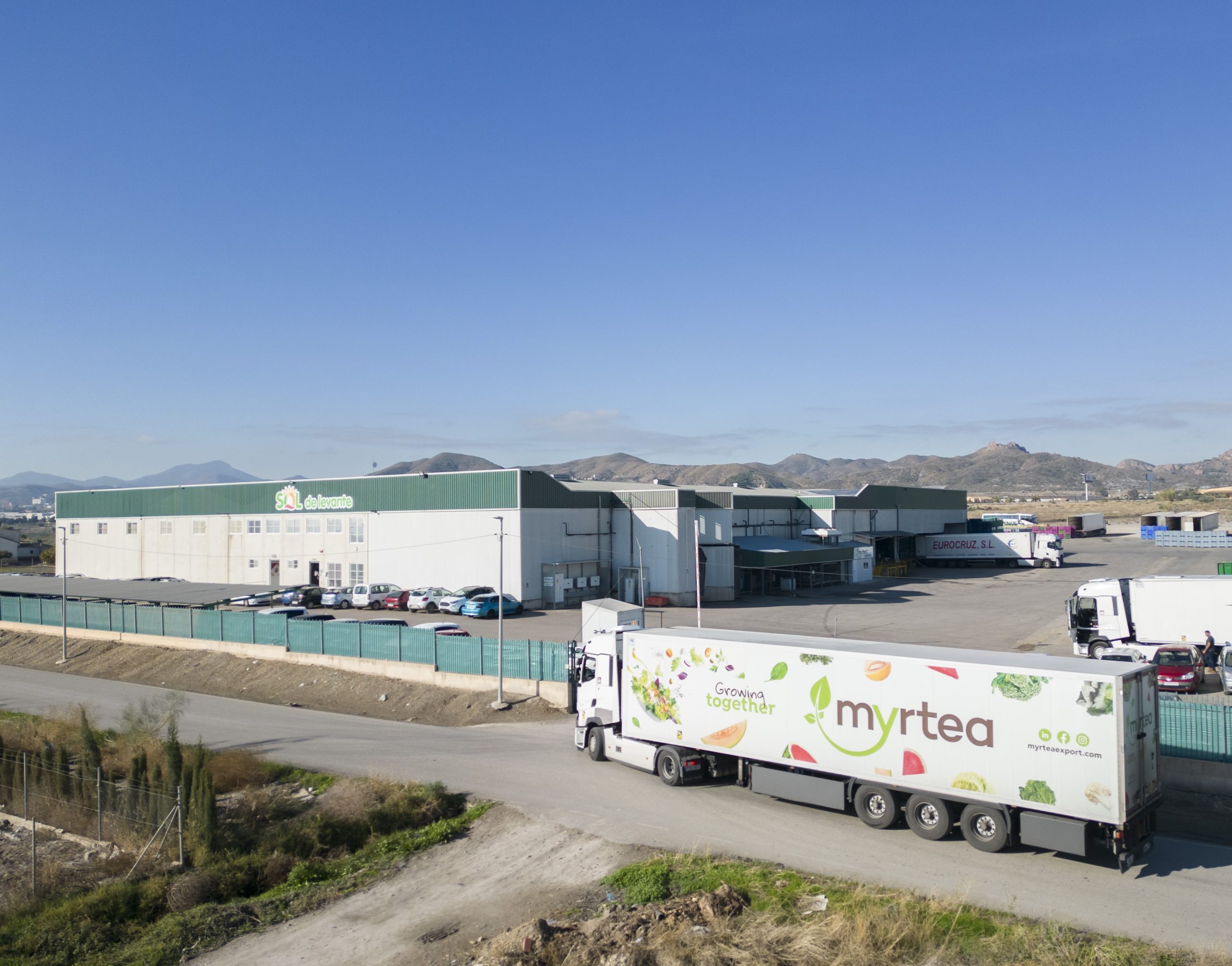Myrtea-export