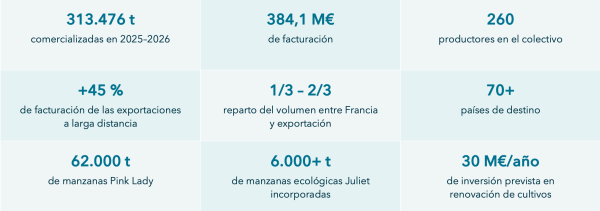 BLUE-WHALE-MANZANA