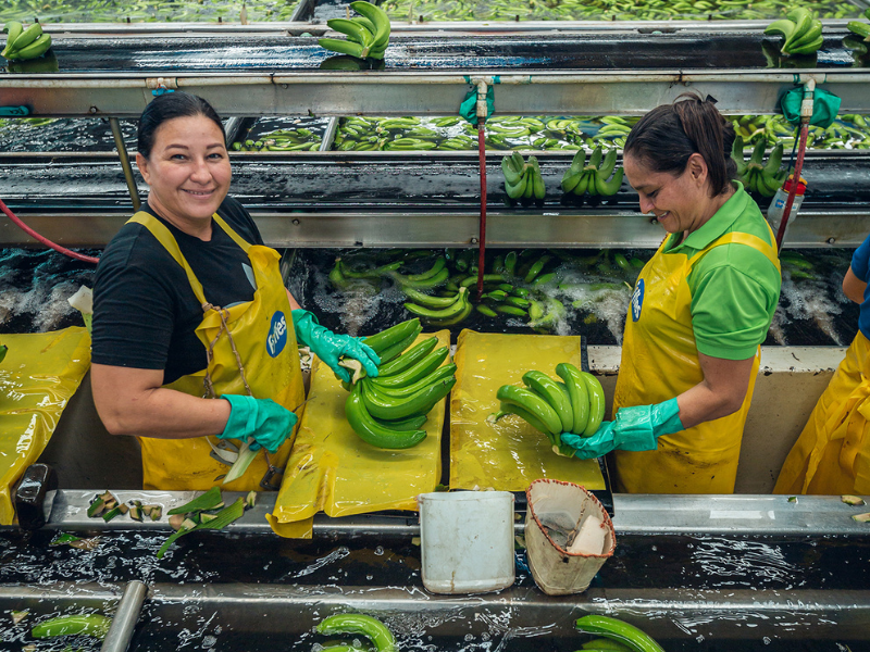 FYFFES