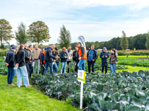 FIELD-OF-INNOVATION