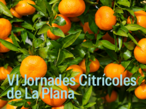 JORNADAS-CITRÍCOLA