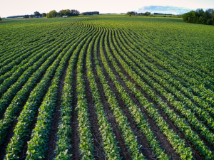 PAC-AGRICULTURA