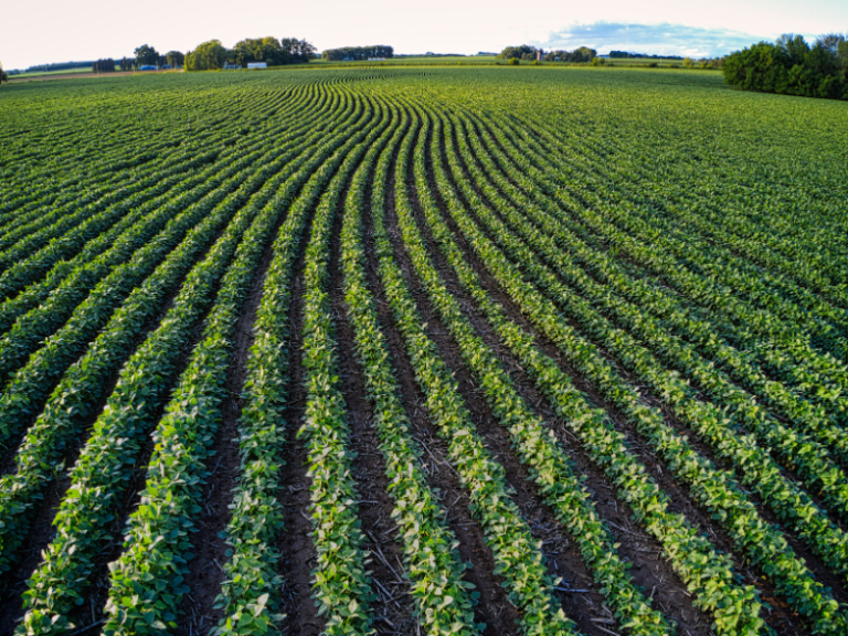 PAC-AGRICULTURA