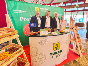 YUKSEL-SEEDS-FRUITNET-TOMATO-CONGRESS-GRANADA