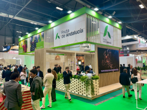 FRUTA-DE-ANDALUCÍA