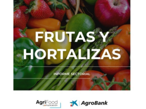 HORTALIZAS-DE-INVERNADERO
