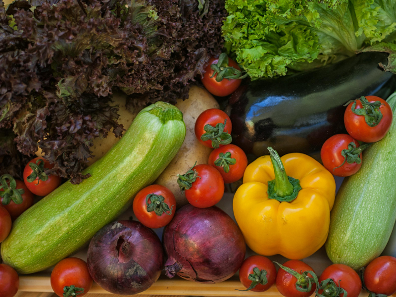 ORGANIC-FOOD