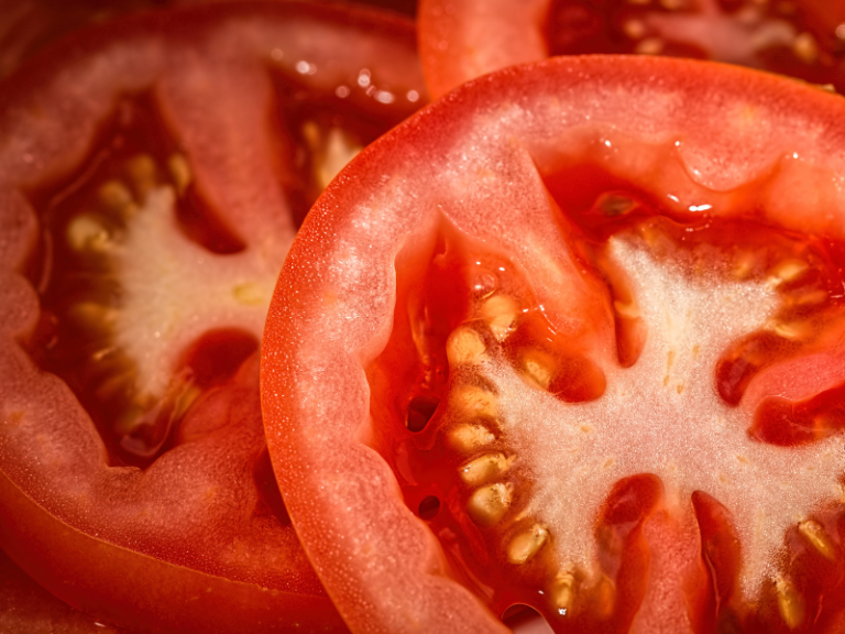 TOMATE-EUROPEO