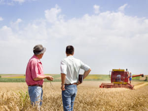 GLOBAL-AGRICULTURE