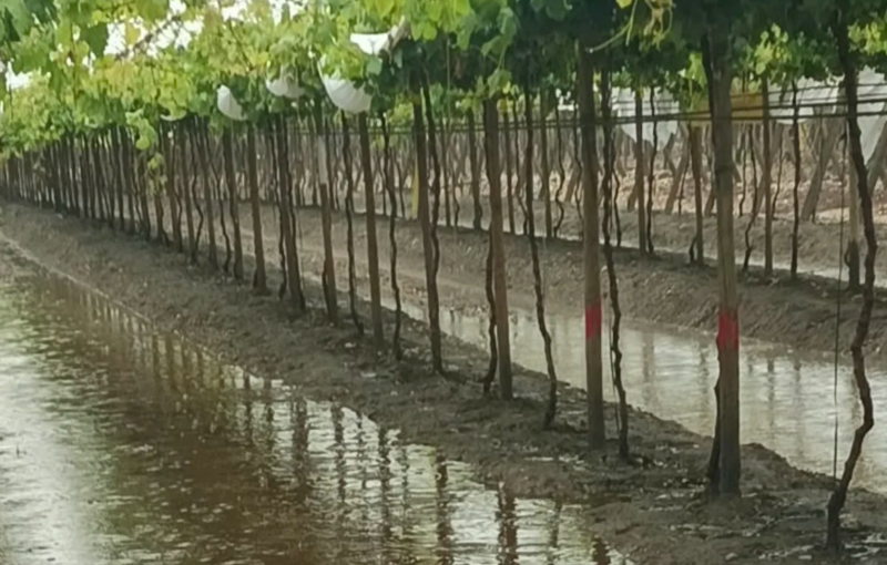 lluvia torrencial