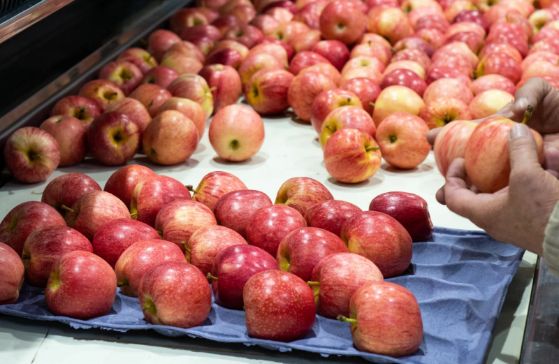 MANZANA