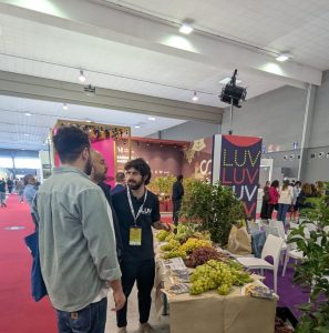 degustazione uva corretto(1)