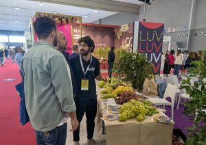 degustazione uva corretto(1)