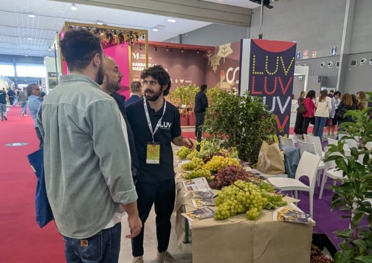 degustazione uva corretto(1)