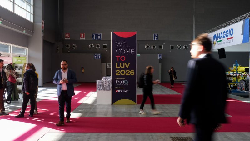 luv fiera (3)